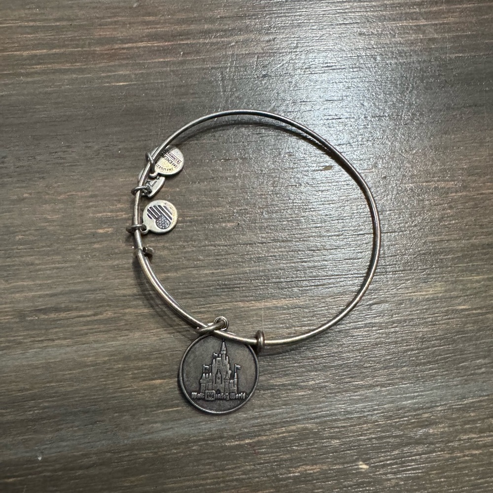 Alex and Ani Walt Disney World Silver Charm Bracelet